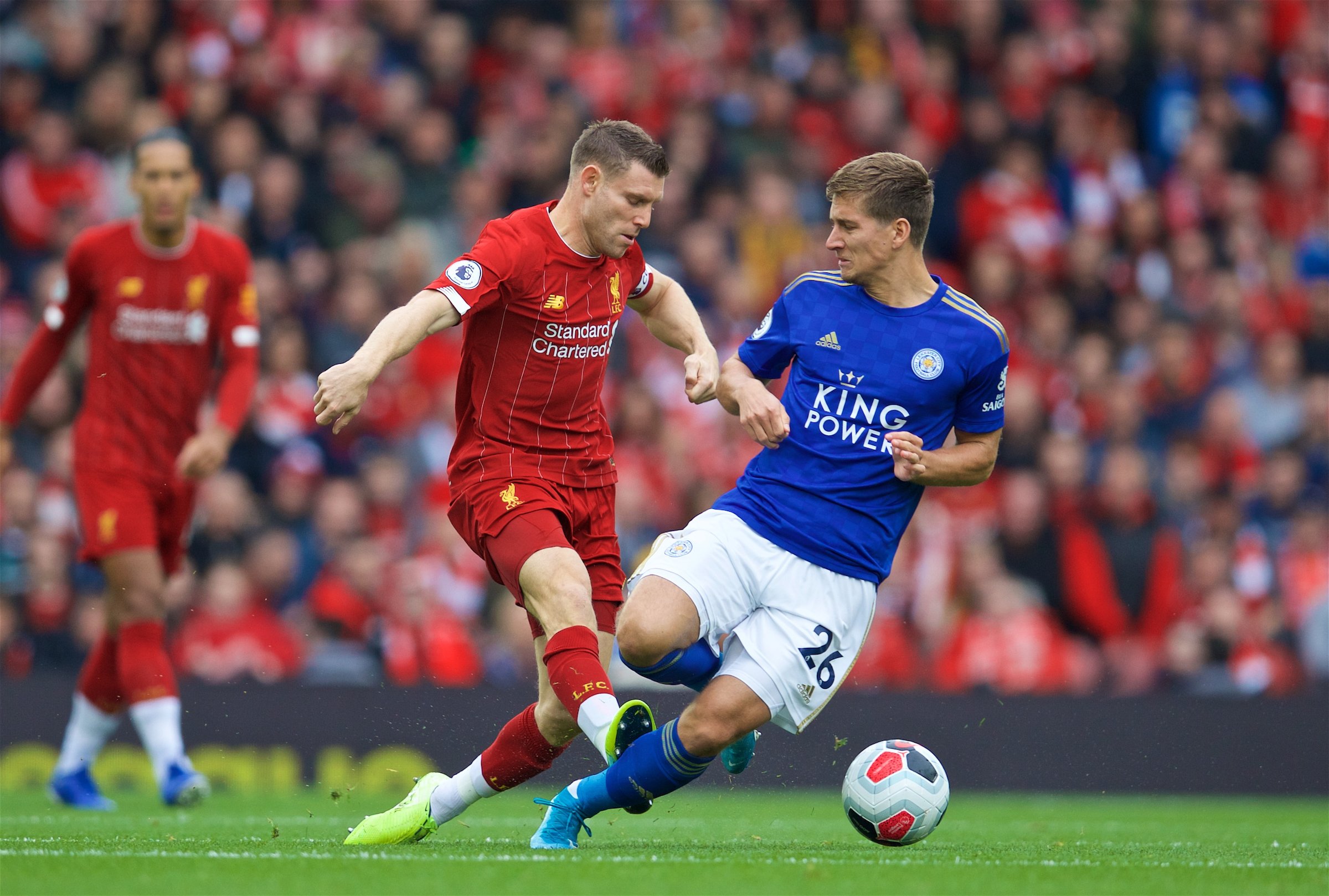 他们引进了 他们引进了